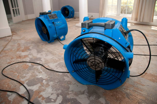 Best Flood damage cleanup  in Falmouth Foreside, ME