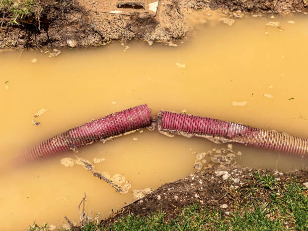 Best Carpet water damage restoration  in Falmouth Foreside, ME