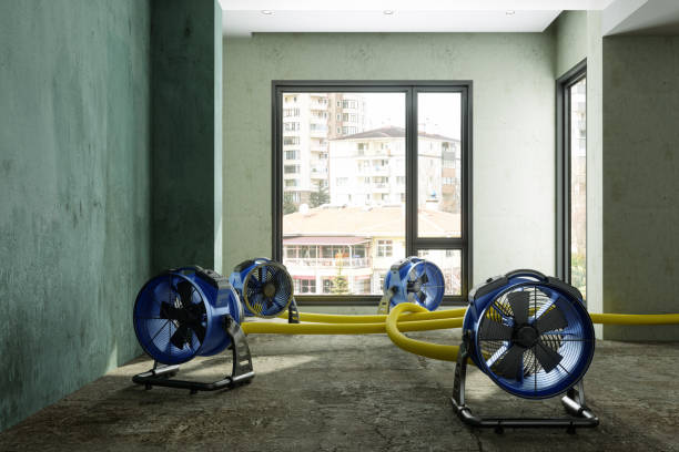 Best Water damage restoration company  in Falmouth Foreside, ME